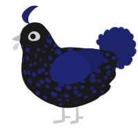 A sable and navy chicken with a speckle pattern