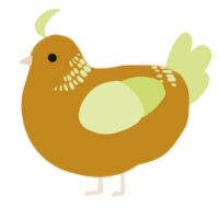 A ochre and lemon chicken with a neck-band pattern