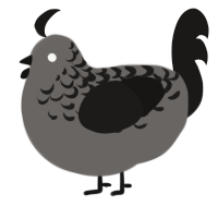 A grey and sable chicken with a half-lace pattern