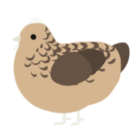 A beige and bark chicken with a half-lace pattern