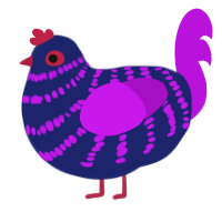 Aster, a navy and amethyst chicken with a bar pattern