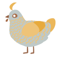 A silver and honey chicken with a lace pattern