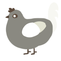A ash and white chicken