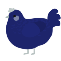 A navy chicken with a half-lace pattern