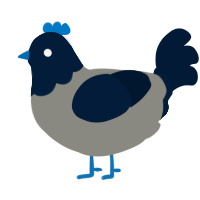 A ash and tumblr chicken with a head pattern