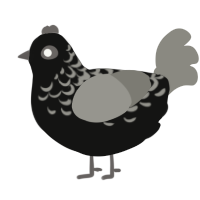 A black and ash chicken with a half-lace pattern