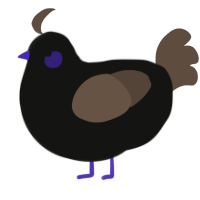 A black and bark chicken