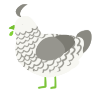 A white and ash chicken with a lace pattern