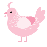 A rose chicken with a half-lace pattern