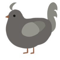 A grey and ash chicken