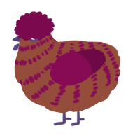 A russet and wine chicken with a bar pattern