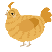 A honey and orange chicken with a bar pattern