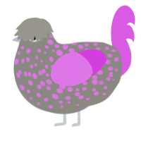 A ash and orchid chicken with a speckle pattern