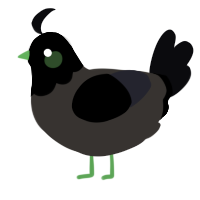 Lav the Lav Mic, a mist and white chicken with a head pattern