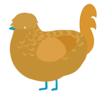 A gold and orange chicken with a half-lace pattern