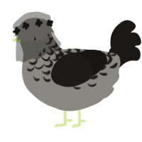 Ophelia, a ash and sable chicken with a half-lace pattern