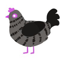 left of way, a grey and sable chicken with a bar pattern