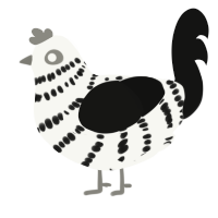 right of way, a white and black chicken with a bar pattern