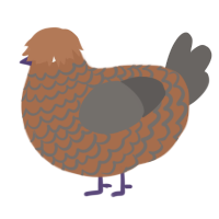 suspicious turd, a brown and grey chicken with a lace pattern