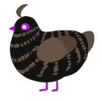 Ebony Raven Way, a black and bark chicken with a bar pattern
