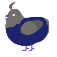 A navy and grey chicken with a head pattern