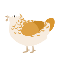 Butterscotch Puddin, a cream and orange chicken with a half-lace pattern