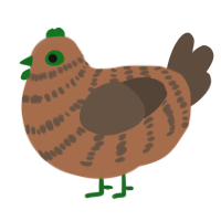 Mossy, a brown and bark chicken with a bar pattern