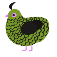 A chartreuse and sable chicken with a lace pattern