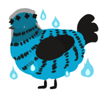 A cerulean and sable chicken with a bar pattern