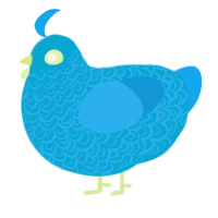 blunt the smoken, a cerulean and sky chicken with a double-lace pattern