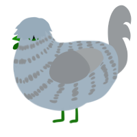 Blender, a bark and grey chicken with a bar pattern