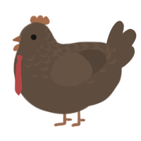 gregor, a bark chicken with a half-lace pattern