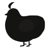 A black and sable chicken