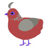 Robert, a red and ash chicken with a neck-speckle pattern