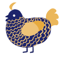 Lapis, a navy and honey chicken with a lace pattern