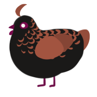A sable and russet chicken with a half-lace pattern