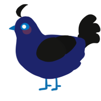 Vontanious, a navy and black chicken