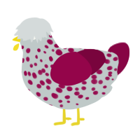 A silver and maroon chicken with a speckle pattern