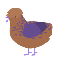 dusty turd, a brown and overcast chicken with a half-lace pattern