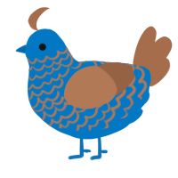 A sapphire and brown chicken with a lace pattern