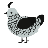 A silver and black chicken with a lace pattern