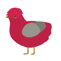 cranberry, a crimson and ash chicken