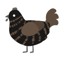 A sable and bark chicken with a bar pattern