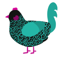 Bratz, a black and turquoise chicken with a double-lace pattern