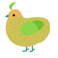 Cantaloupe, a honey and grass chicken with a lace pattern