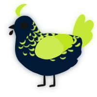 Radical, a tumblr and lime chicken with a half-lace pattern