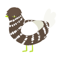 A bark and white chicken with a bar pattern
