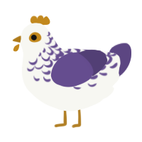 reginaldine, a white and overcast chicken with a half-lace pattern
