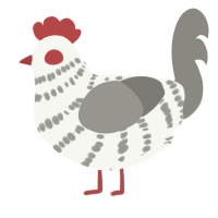 drosophilous, a white and ash chicken with a bar pattern