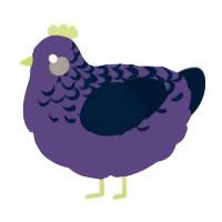 Witches Brew, a overcast and tumblr chicken with a half-lace pattern